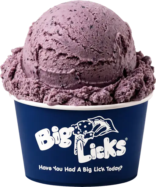 Maine Blueberry