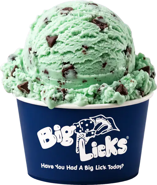 Mint Chocolate Chip